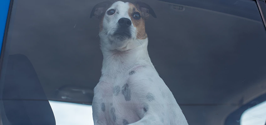 Car Lockout Solutions in Montclair, California